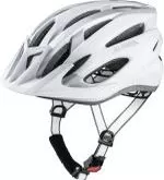 Alpina Downhill Helmet